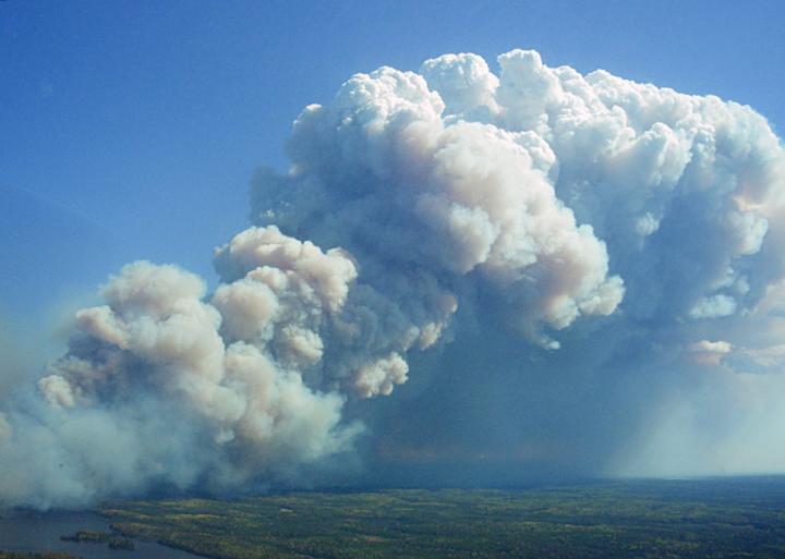 Fire Weather Prediction Tool