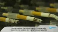 Tobacco Contains Highly Toxic Compounds not Regulated by Law (2 of 2)