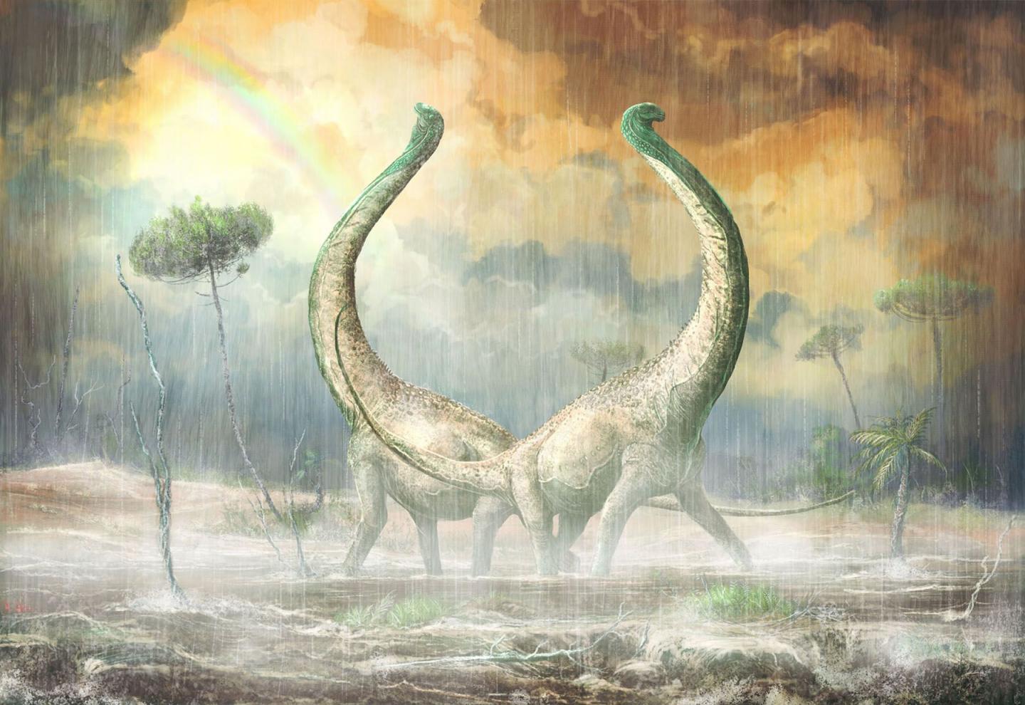 Exceptional New Titanosaur from Middle Cretaceous Tanzania: Mnyamawamtuka