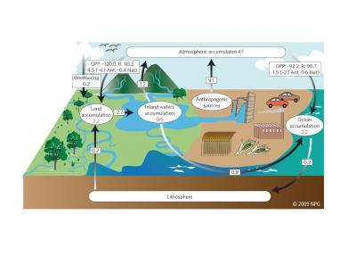 The Boundless Carbon Cycle