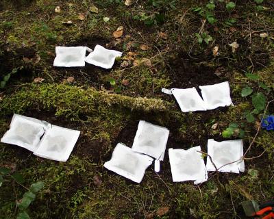 LeafLitter -- MeshBags