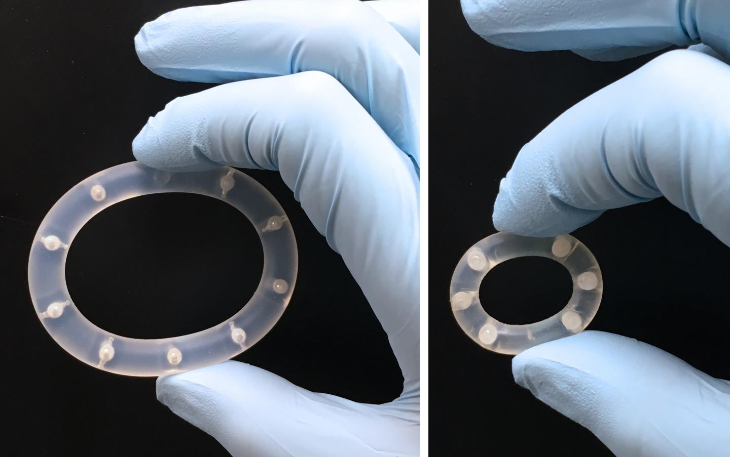 Photographs of Human- (Left) and Macaque-Sized (Right) Truvada Pod-IVRs