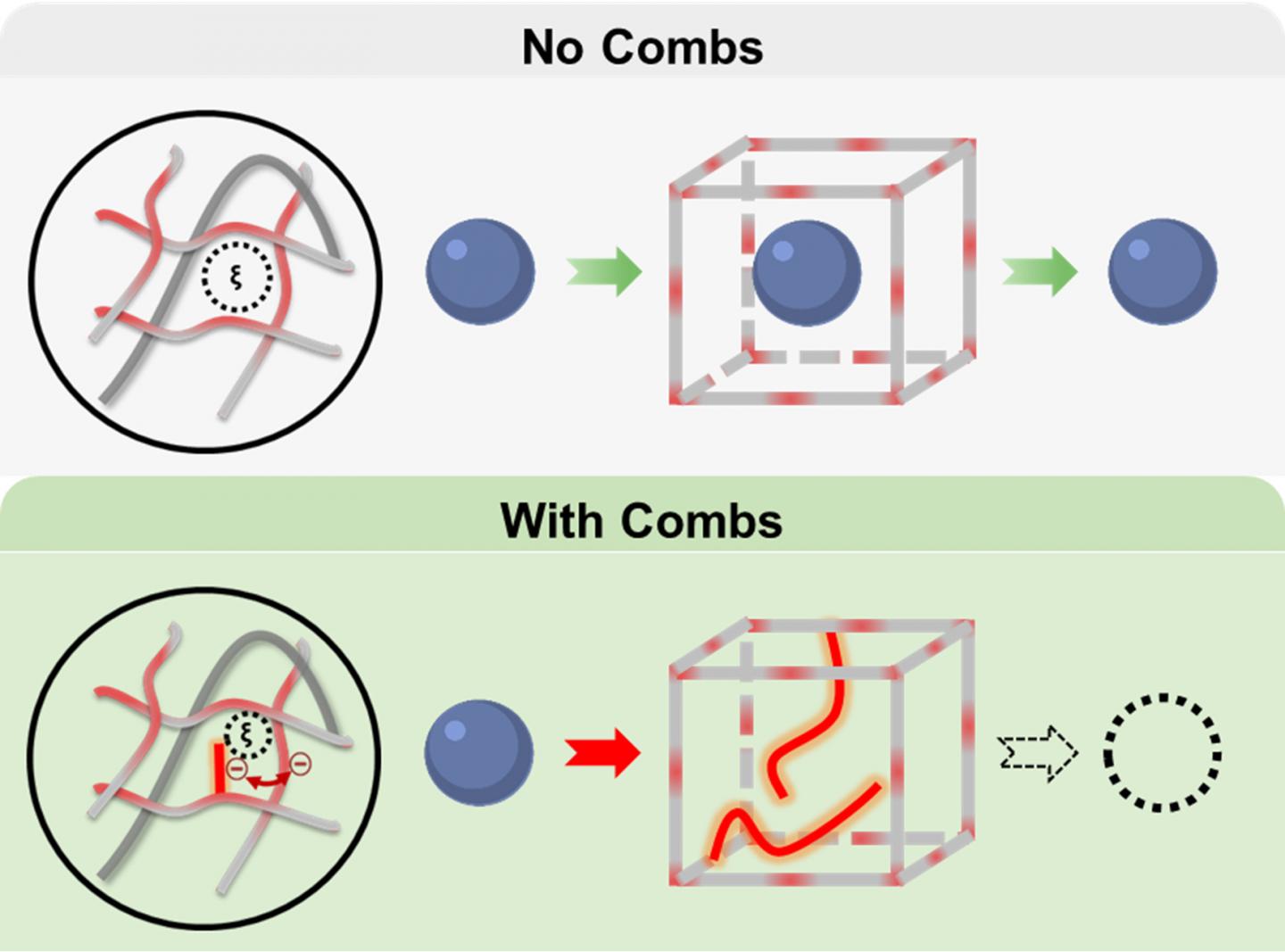 Hydrogel Combs