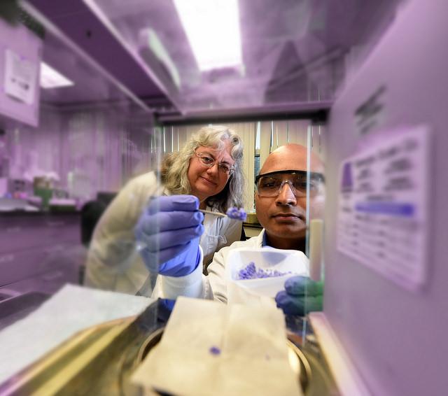Vivek Choudhary and Wendy B. Bollag, Medical College of Georgia at Augusta University