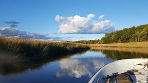 Tidal Marsh at Plum Island, Massachusetts