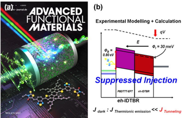 Researchers determine the dominant mechanism for dark current generation in organic photodetectors