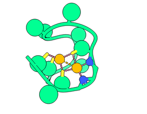 The "Nickelback" Peptide