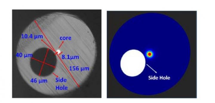 Fiber Optic Pressure Sensor