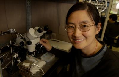 Ke Dong, Michigan State University