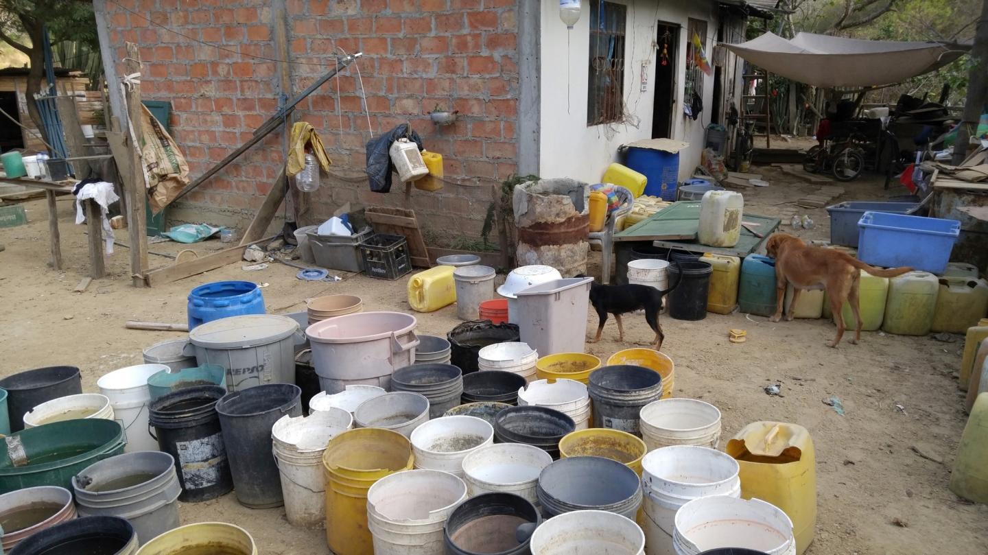 Standing Water and Zika