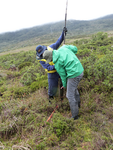 Collecting sediment samples at Monquentiva