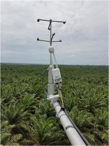 Ecosystem-scale measurement system and view from the tower over oil palm plantation in Jambi, Indonesia.
