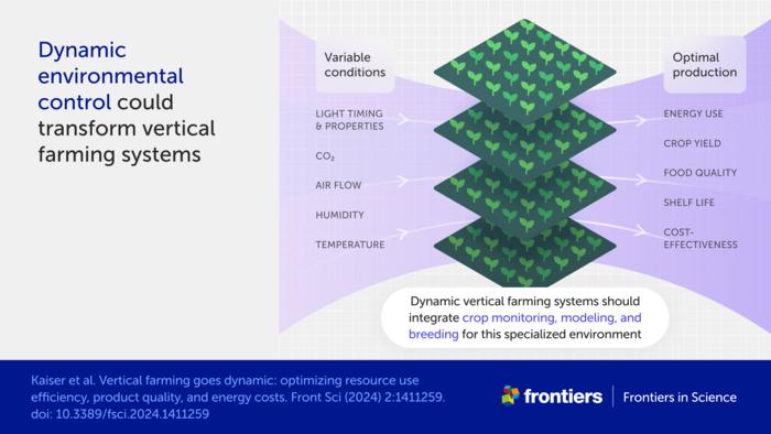 Dynamic environmental control could transform vertical farming systems