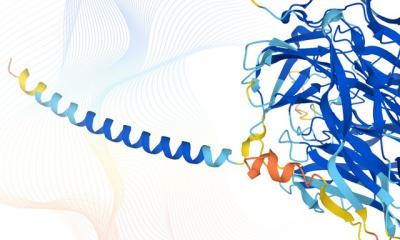 Protein structures