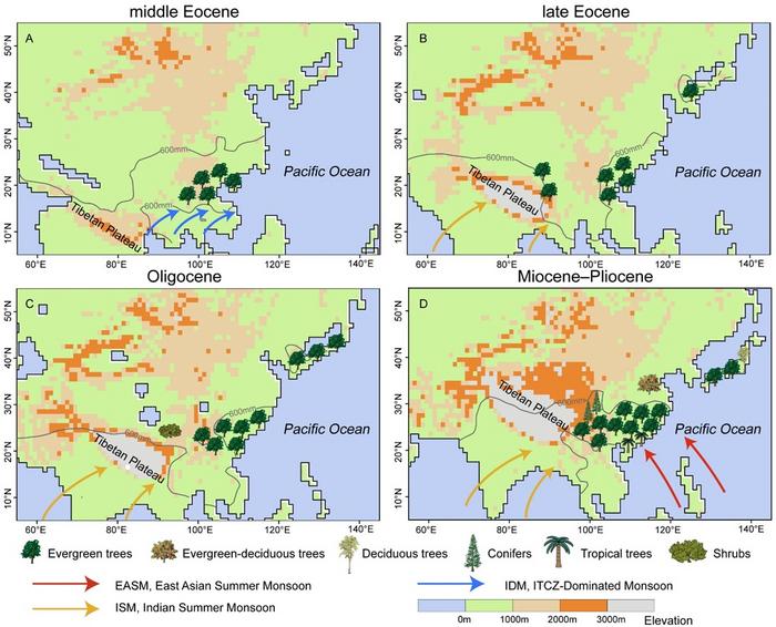 Heterogeneous occurrence of EBLFs in East Asia during the Cenozoic