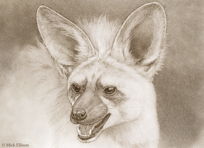 Artist's reconstruction of Gansu hyena