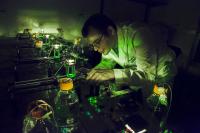 High precision microbial population dynamics | EurekAlert!