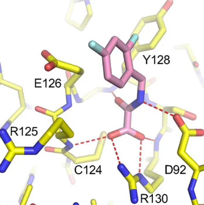 X-ray structure of VHR