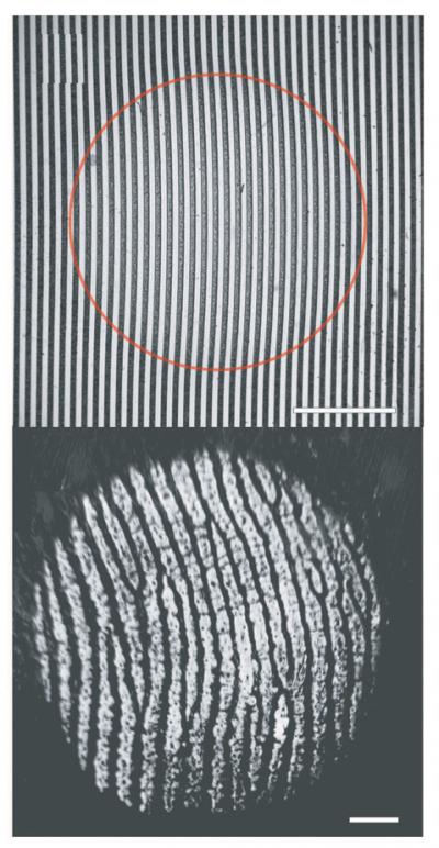 Why Fingerprints? (4 of 5)