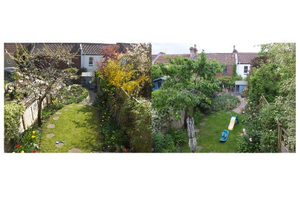 A garden in Montpelier (Bristol) in spring (left) and summer (right)