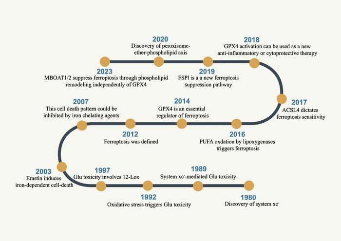 The mechanism of ferroptosis and its related diseases