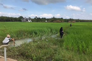 Field study in the outbreak area