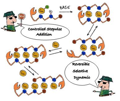 Stepwise Synthesis of Copper Chains