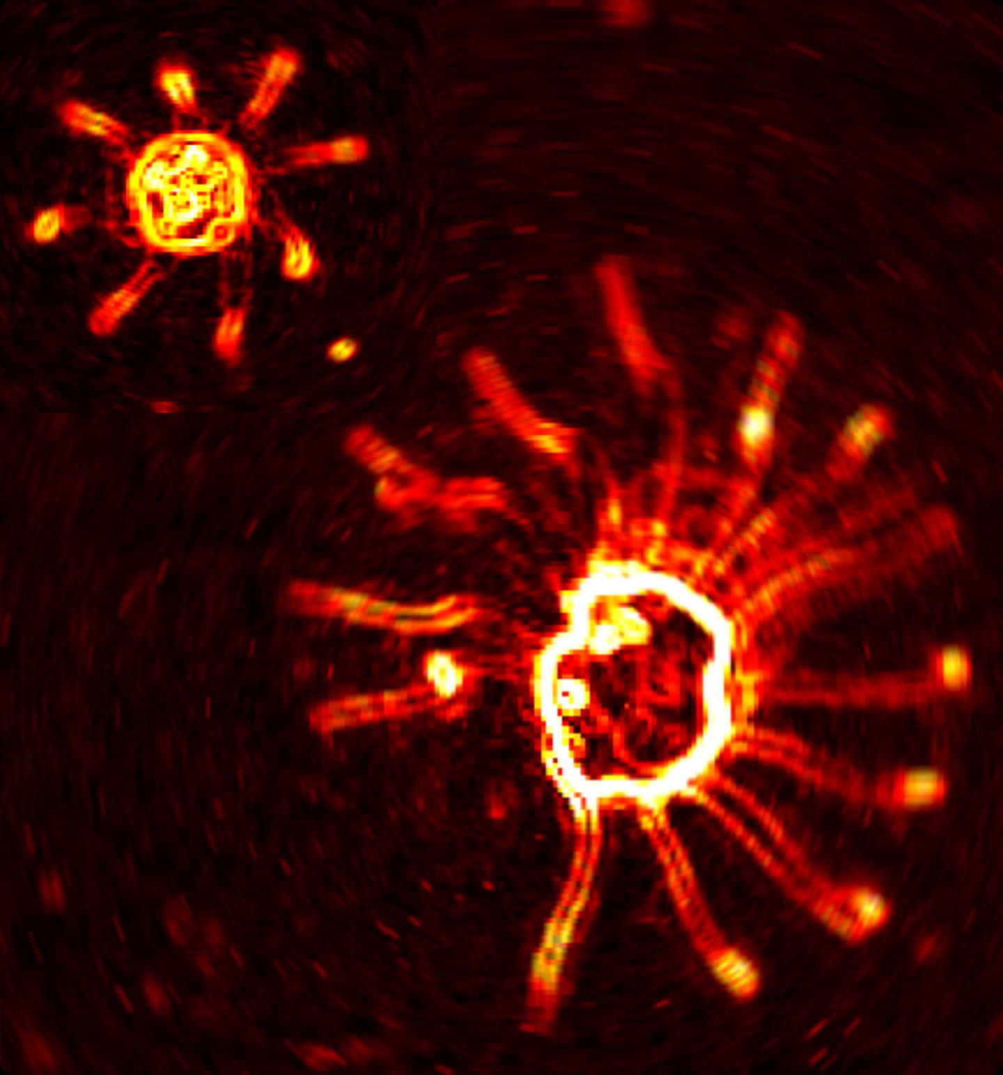 Microscope Images Showing Two Species of Algae Which Swim Using Tiny Appendages Known as Flagella