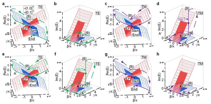 Figure. 2 | System states evolving on the Riemann surfaces.