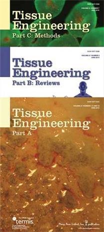 <I>Tissue Engineering</I>