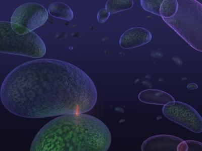 Some Bacteria Attack Using Spring-Loaded Poison Daggers