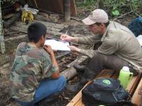 Rain Forest Surveys