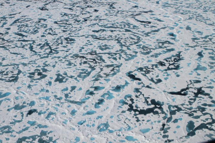 Melt Ponds in Arctic Ice