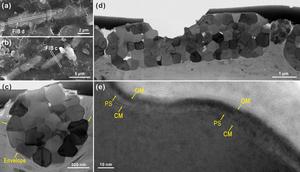 Ultrastructures of the microfossil Qingjiangonema cambria.