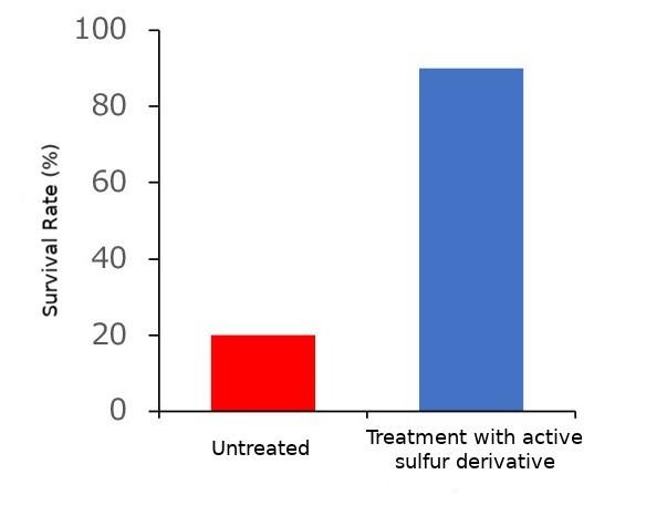 Therapeutic Effect Of A Polysulfide Donor On A Murine Model For Endotoxin Shock