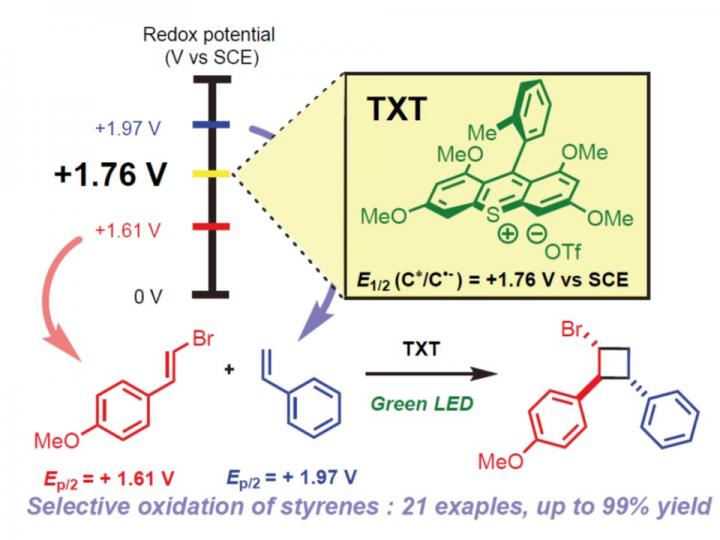 Selective oxidation of styrenes into multisubstituted cyclobutanes under green LED irradiation