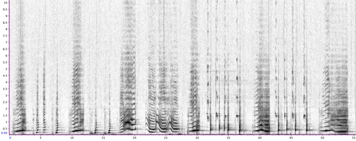 Spectrogram of whale song 2017 recording