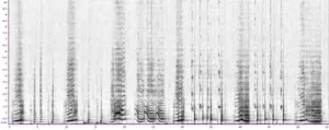 Spectrogram of whale song 2017 recording