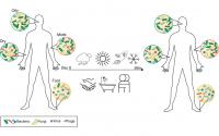 Skin Microbial Communities Over Time