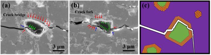 Crack propagation in regions surrounding core–shell structural toughening units