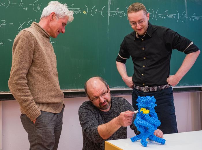 The 3D model helps researchers to better understand the structure and function of the mechanical spring on the ion channel. From left to right: Professor Martin Göpfert, Dr Thomas Effertz, Dr Philip Hehlert