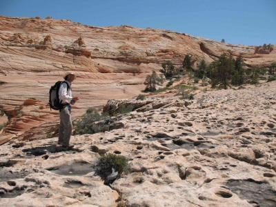 Walking Among Dinosaur Tracks