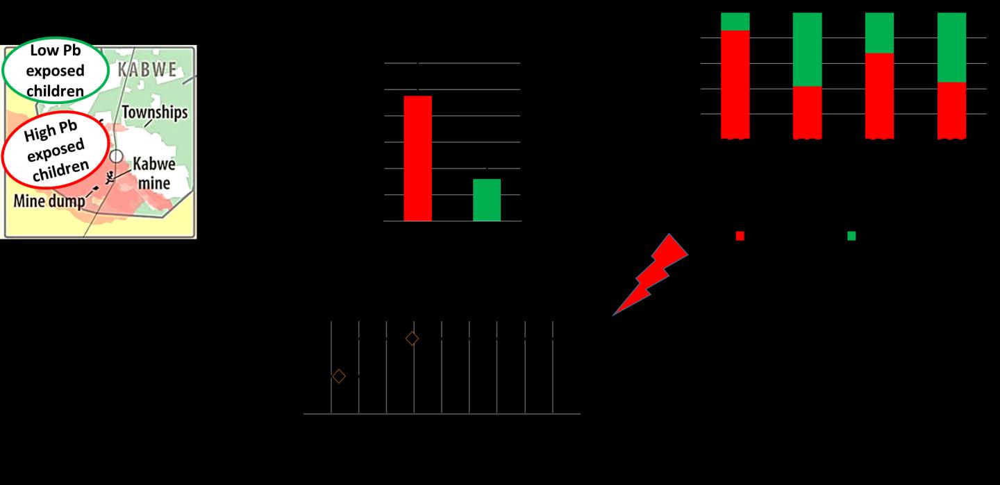 Blood Lead Levels (BLLs) and Prevalence of Aberrant Promoter Methylation in Children