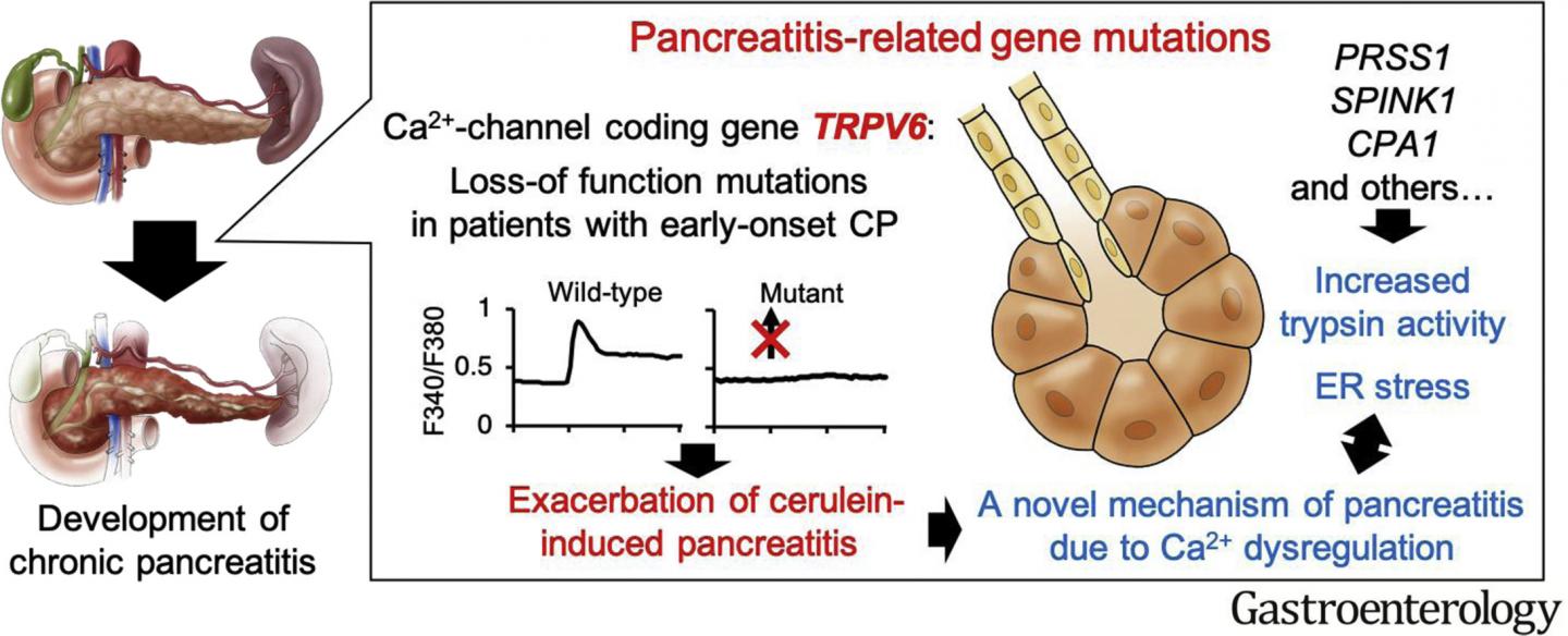 Graphical Abstract