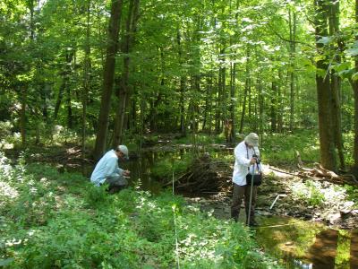 Coordinating Region-Wide Delaware Watershed Protection