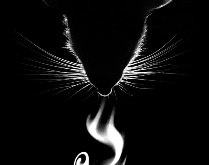 Rodent Sniffing a Shifting Odor 'plume'