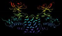 3-D Map of Molecular Scaffold SgK223