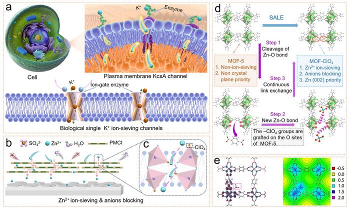 Preparation and characterization of KcsA ion channel inspired membrane