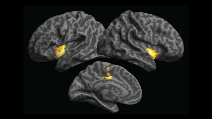 Sensory Information Underpins Abstract Knowledge