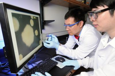 Jiaqi Tan and Lin Jiang, Georgia Institute of Technology (2 of 2)